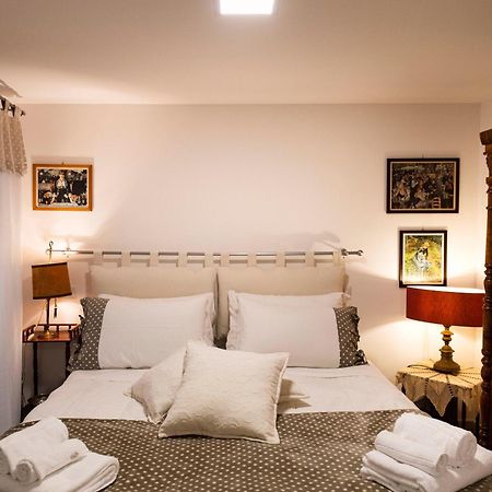 Affittacamere Pozzo Bianco 奥维多 外观 照片